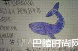 蓝鲸死亡游戏潜入中国 中国捕鲸计划在行动