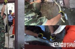 2米长蛇钻幼儿园 吓坏小孩子消防官兵将蛇救出后放生