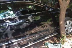 男子砸车偷钱后悔 原因让人啼笑皆非