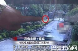 游客为逃票翻墙进动物园 落地时顿时傻眼