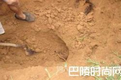 19岁少女出租屋内难产死亡 男友害怕担责偷偷埋尸