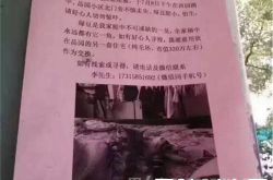 用320万房子寻猫怎么回事？网友：辞职去找猫了！