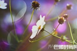 处暑吃什么比较好 处暑节气应该如何养生