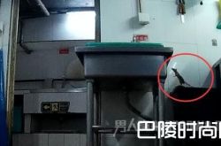 海底捞后厨曝光食品安全问题何时能解决