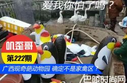广西现奇葩动物园 网友：确定不是家禽区？
