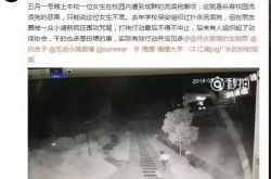 女生遭流浪狗撕咬是怎么回事？