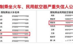 贾跃亭遭禁止搭乘飞机火车 想回国处理债务也没办法了