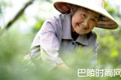 辽宁鼓励老人创业政策是什么？