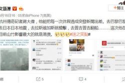 蒋大伟是谁？出国度假秒变出差