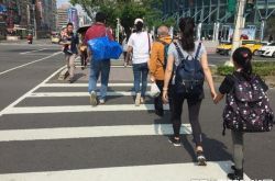 温州女子边过斑马线边看手机遭罚款 创大陆首例