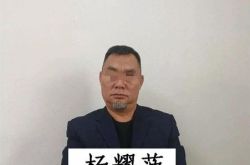 杨耀菠是谁？网红大叔160万粉丝竟涉黑帮暴力讨债