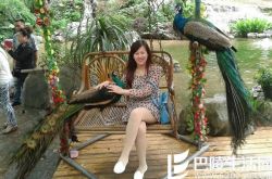 离异女人网上征婚记