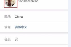 如何使用社交软件约会妹子