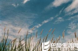 男人分手后真爱的表现有哪些