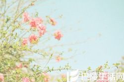 怎么夸女孩子漂亮可爱的话