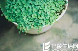 街头搭讪不同类型的美女的搭讪技巧方法