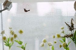 如何让闷骚男表白 让闷骚男主动表白的技巧