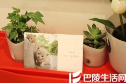 女生怎么挑选相亲对象 这样的男人不能要