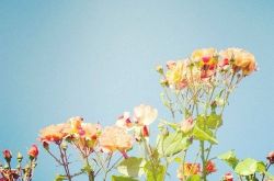 女人要防备什么样的男人 别把真心喂了狗