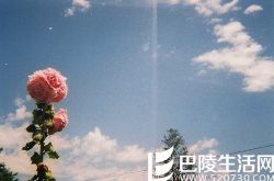 女生骗男朋友的谎话大曝光 你听过几句