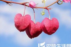 男生追女生步骤详解 手把手教你追喜欢的妹子