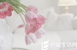 过年送什么新年礼物给女朋友好 