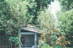 女生为什么爱大叔 大叔控女生的心理