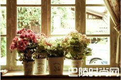 圣诞节送女友的礼物有哪些 给女朋友的圣诞惊喜