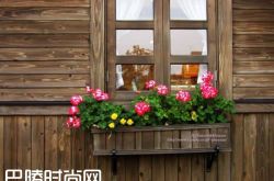 男人怎么才能不被绿茶婊骗