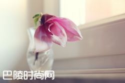 看到一个美女不敢搭讪该怎么办