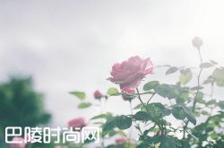 什么样的女人容易被骗上手 别做傻白甜