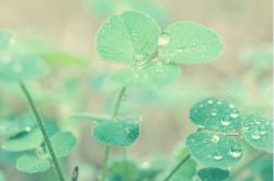 舍不得分手的伤感心情说说 直戳你的心