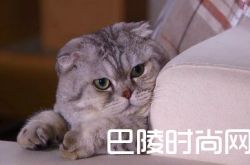 相亲大会怎样和别人搭讪让妹子秒败在你的膝盖下