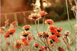 如何追只把你当朋友的女生 陷入朋友圈怎么办