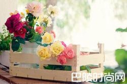 如何享受现在的生活把握好当下的每天