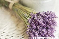 情人节给喜欢的人送什么礼物合适