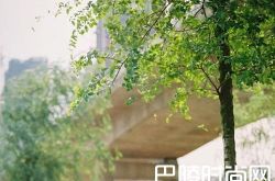 聊天不知道说什么怎么办 和人相处这样聊天