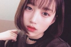 波波头发型 轻熟女范波波头发型卷发波波头发型短直发波波头发型斜分刘海波波头发型齐刘海波波头发型