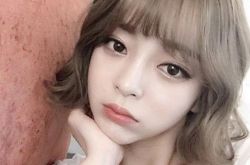 蛋卷头怎么打理 蛋卷头打理方法