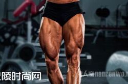 腿部肌肉锻炼 男人给不给力关键就靠他它