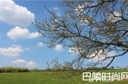 春天约会穿什么 春天约会穿印花连衣裙春天约会穿鸡尾酒小连衣裙春天约会穿长款摆裙春天约会穿印花 Midi skirt 春天约会穿短款Midi skirt春天约会穿纱裙 春天约会穿什么内衣好