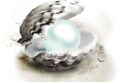 珍珠如何形成 珍珠的种类有哪些珍珠有什么作用珍珠有什么功效珍珠和贝珠的区别珍珠首饰如何搭配场合珍珠如何保养关于珍珠的知识
