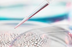 安瓶精华哪个牌子好，金莎推荐 cpe时光安瓶