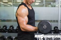 男士健身的基础知识你知道多少
