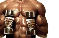 哑铃锻炼背肌教程 练出倒三角体型