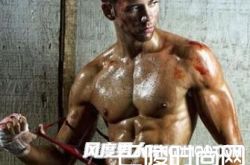 夏天衣服单薄显肌肉 练出好看背部肌肉