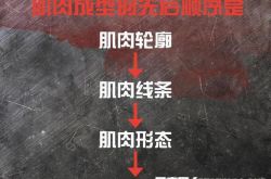 增肌必备常识 男士健身增肌技巧