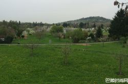 领略瑞士的南北部风光 探索钟表之旅