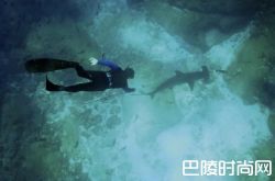 2017巴塞尔新品丨豪利时推出锤头鲨限量版腕表，向濒危物种伸出援手