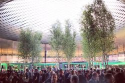 2017年新款表单，照着买不会错